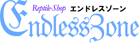 Endlesszone